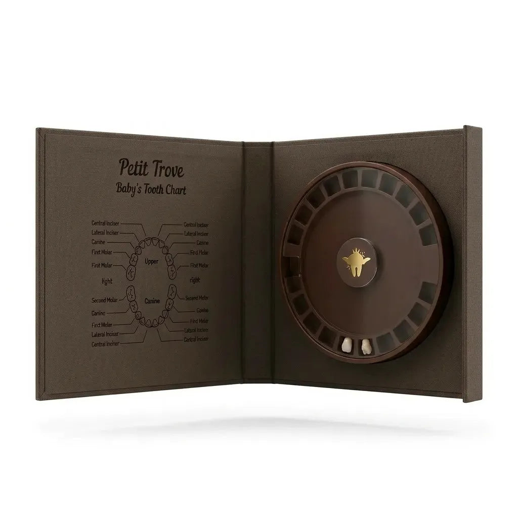 Petit Trove - Diş Kutusu