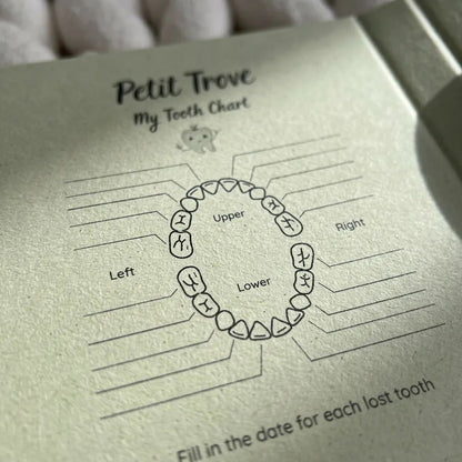 Petit Trove - Diş Kutusu